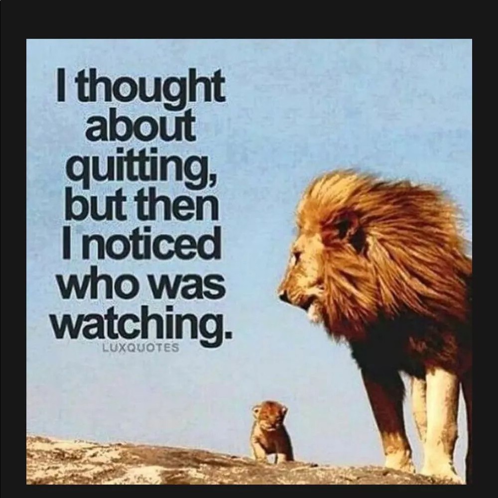 Meet your Posher, Liz